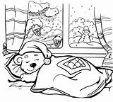 Sleeping Bear In Winter coloring Page  Download Print Or Color Online sketch template