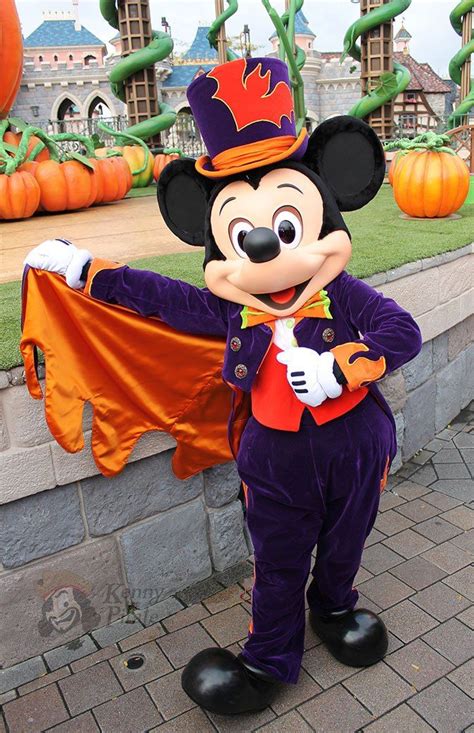 Magical halloween decorations disneyland to experience the Disney magic