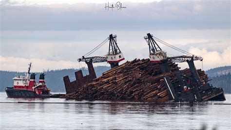 Tilted log-filled barge catches eye of wildlife photographer