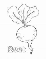 Beet Coloring Page  Little Bee Family sketch template