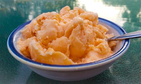 Simple Cantaloupe Melon Ice Cream Recipe (Dairy-Free!) | Veggums