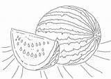 Coloring Picture Watermelon sketch template