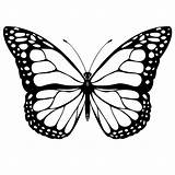 Butterflies Coloring Pages Free Printable Butterfly For  sketch template