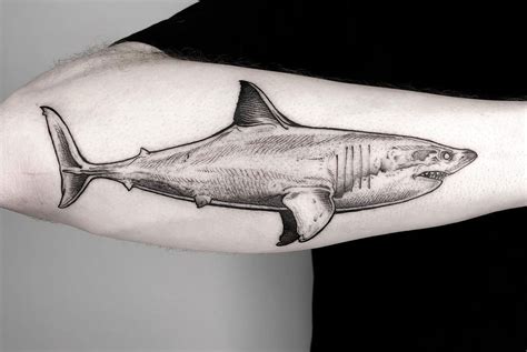 Tiger shark tattoo ideas photos