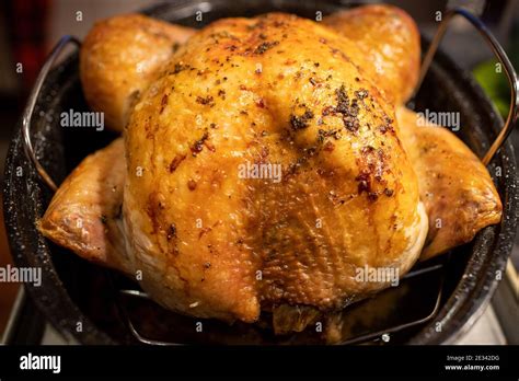 Home cooked turkey in roasting pan, a favorite Thanksgiving and Christmas traditional meal Stock ...