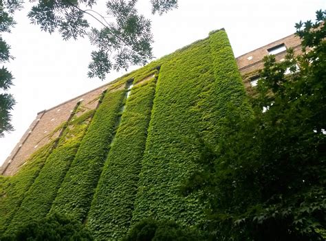 Free Images : tree, grass, sky, meadow, roof, building, wall, moss, green, tower, facade ...