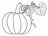 Coloring Pumpkin Printable sketch template