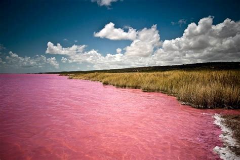 Lake Retba's Rosy Waters