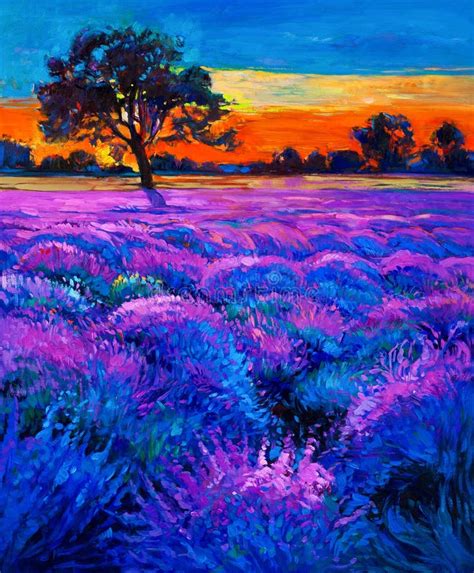 Oil Painting Lavender Fields Canvas Sunset Landscape Stock Photos ...