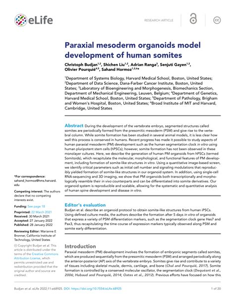 (PDF) Paraxial mesoderm organoids model development of human somites