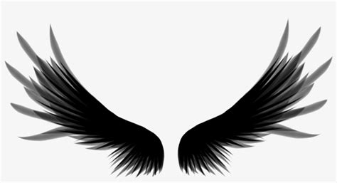 Roblox Commander Crow's Wings Transparent PNG - 1024x1024 - Free Download on NicePNG