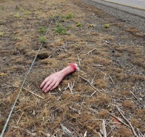 "Severed" Arm Thrown from Car Picked up by WSP