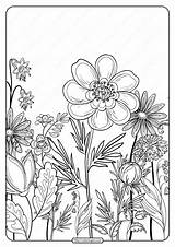 Floral Pattern Coloring Page Free Printable Pages sketch template