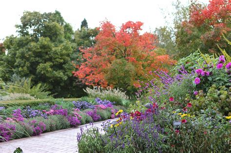 Romancing the Home: Fall Color at the Chicago Botanic Gardens