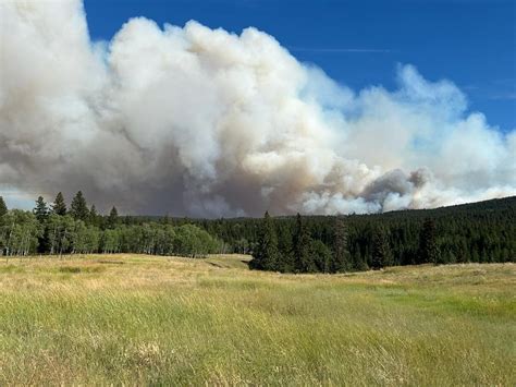 More evacuation orders issued as Ross Moore Lake fire southwest of Kamloops grows | Radio NL ...