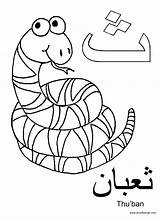 A Crafty Arab Arabic Alphabet coloring PagesTha Is For Thuban sketch template