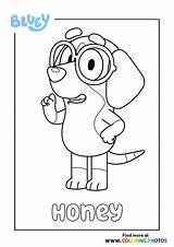 Bluey Rusty  Coloring Pages For Kids sketch template