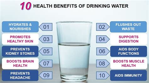 10 Health Benefits of Drinking Water