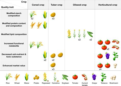 Frontiers | Improving Nutritional and Functional Quality by Genome Editing of Crops: Status and ...