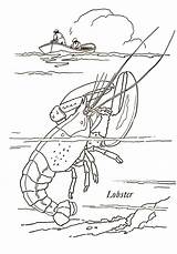 10 Sea Animals Printable Coloring Pages  The Graphics Fairy sketch template