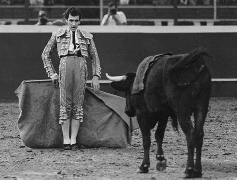 Bull Fighting: Bull Fighting History