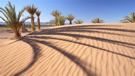 Desert Oasis Landscape Wallpapers - 4k, HD Desert Oasis Landscape ...