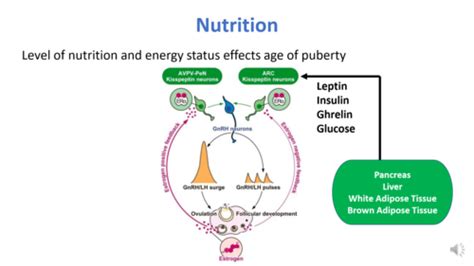 Factors affecting onset of puberty Flashcards | Quizlet