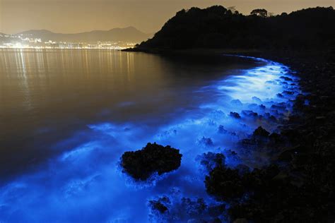 Long exposure shows the glow from a Noctiluca scintillans algal bloom along the seashore in Hong ...