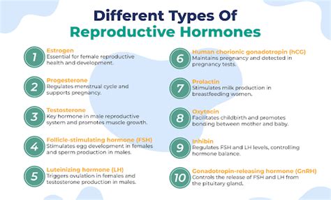 High Testosterone In Women: Causes, Symptoms, And Normal Levels