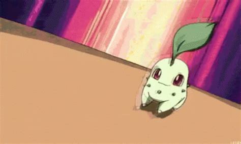 Pokemon Johto GIF - Pokemon Johto Chikorita - Discover & Share GIFs