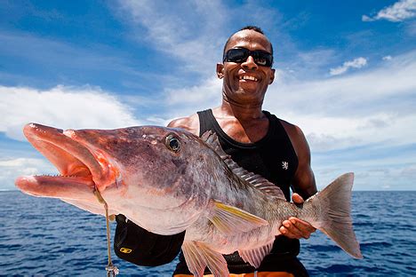 Kadavu Island - discover Kadavu diving and fishing