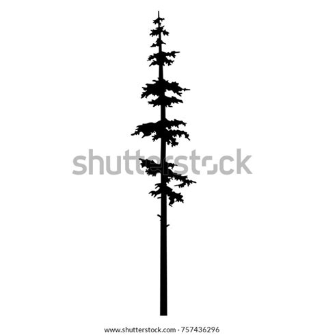 Black Tree Silhouette vector logo tattoo template design, conifer tree ...