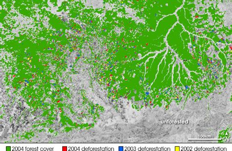 NASA Satellite Measures Deforestation : Image of the Day