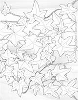 Ivy Coloring Page At GetColoringscom  Free Printable Colorings pages sketch template