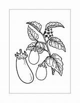 Eggplant Coloring Pages – Printable FREE sketch template