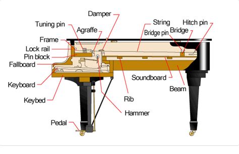 Piano Inside Diagram