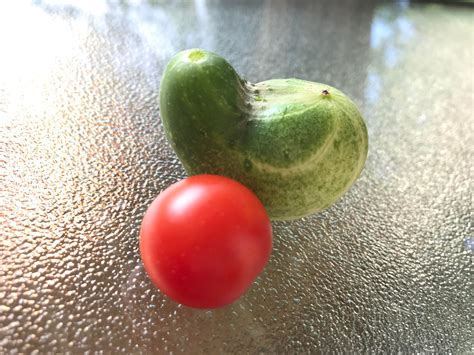 Today’s harvest, that is a cherry tomato. : r/gardening