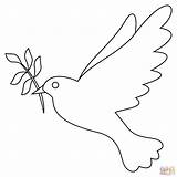 Dove coloring Page  Free Printable Coloring Pages sketch template