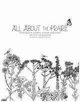 Prairie Coloring Pages sketch template
