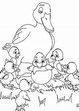 Free & Easy To Print Duck Coloring Pages  Tulamama sketch template