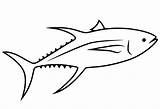 Printable Yellowfin Tuna Coloring Page  Free Pages sketch template