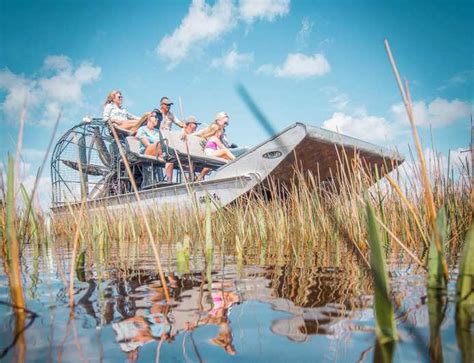 Everglades National Park: Airboat Tour and Wildlife Show | GetYourGuide