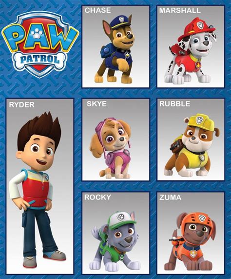 Pase patrol Team | Paw patrol birthday theme, Paw patrol pups, Paw ...