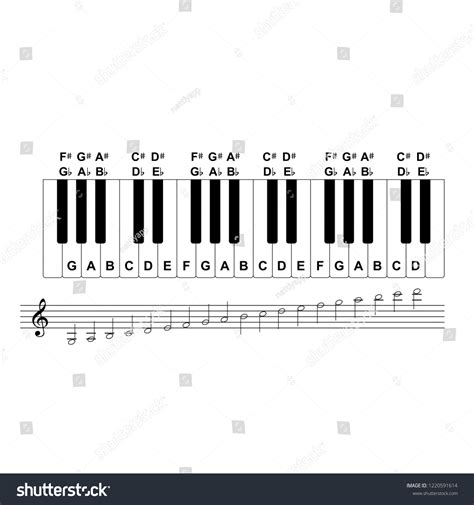 Piano Keyboard Diagram Piano Keyboard Layout 스톡 벡터(로열티 프리) 1220591614 ...