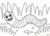 Worm coloring page  Free Printable Coloring Pages sketch template