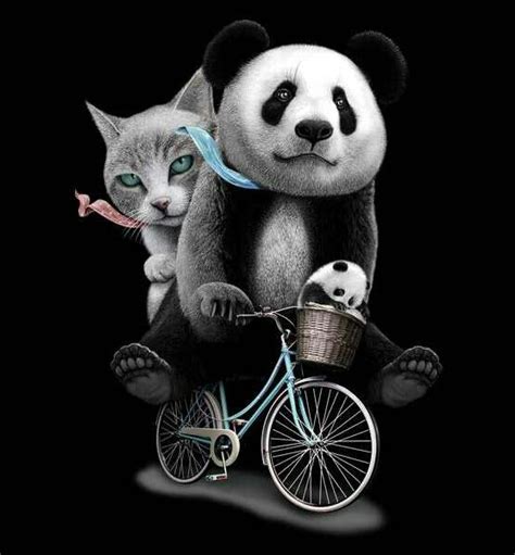 PANDA AND CAT ON BIKE 1 | Panda art, Cat wallpaper, Panda love