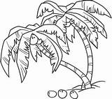 Palm Branch Coloring Page At GetDrawings  Free Download sketch template