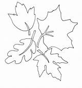 Easy Autumn Leaves coloring Page  Download Print Or Color Online For Free sketch template