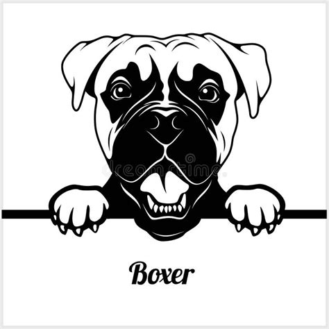 Boxer Dog Head Outline SVG