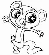 Cartoon Pet Monkey coloring Page  Download Print Or Color Online For Free sketch template